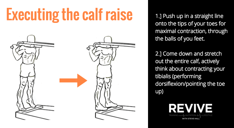 Revive Muscle - GUIDE TO BUILDING THE BEST CALVES⁣ ⁣ Revivemuscle