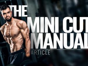 The mini cut manual