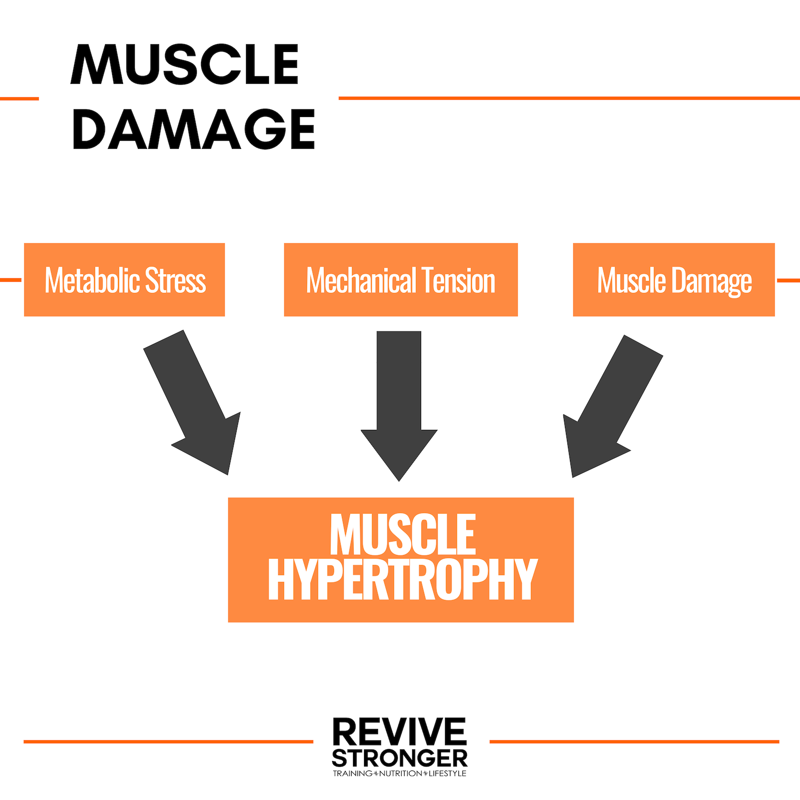 Chasing Damage and Soreness: Why It Can Reduce Gains – Revive Stronger