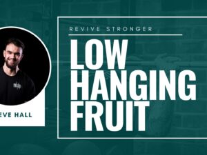 Low Hanging Fruit - Steve Hall