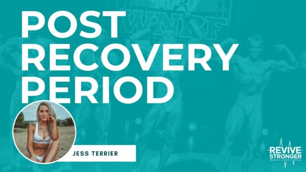 Post Recovery Period - Jess Terrier