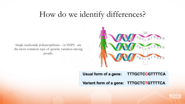 Genetic Testing - Brandon Roberts