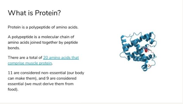 Fine-tuning Protein Amino Acid Supplementation - Cody Haun
